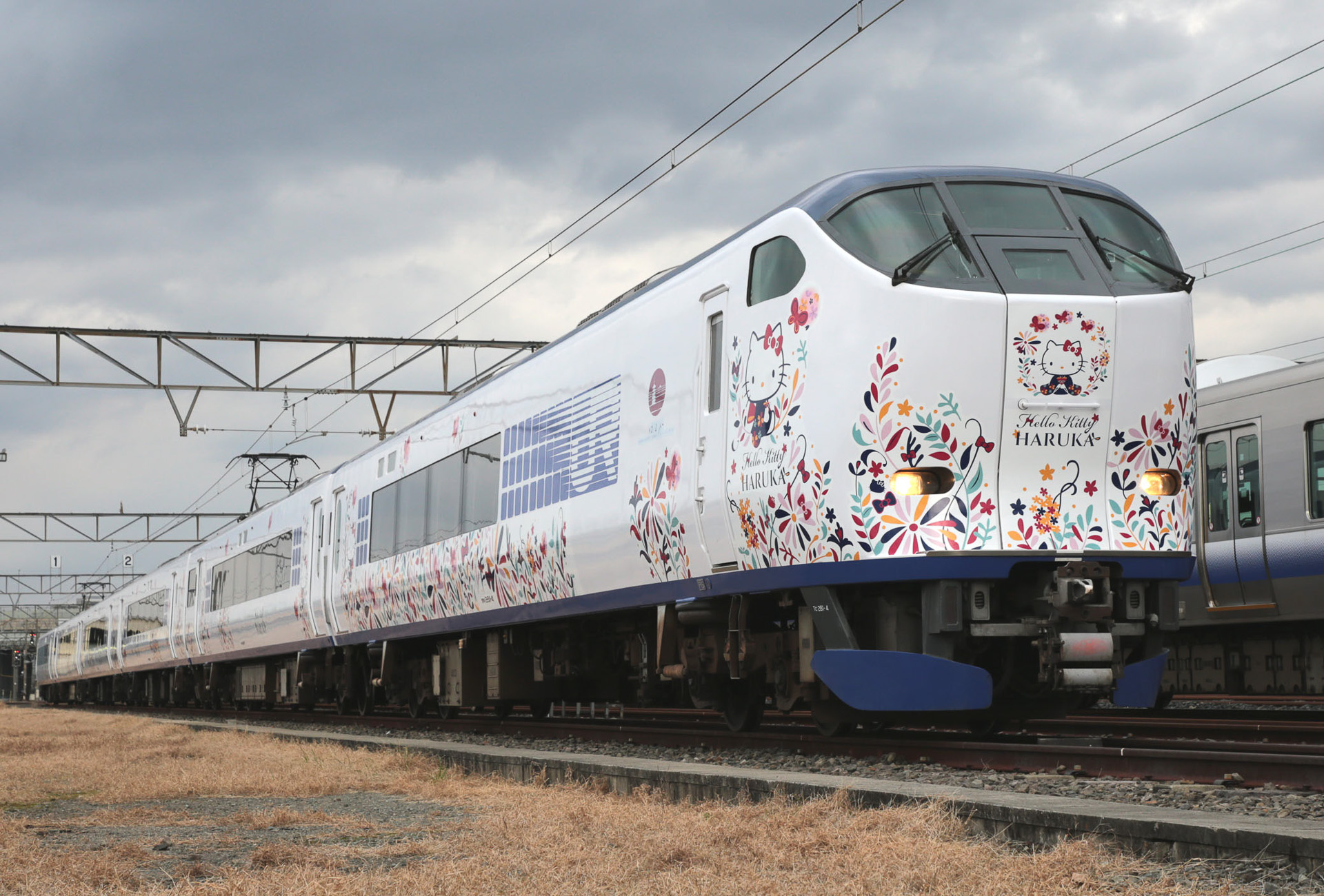 Tren japonés Hello Kitty Haruka_02