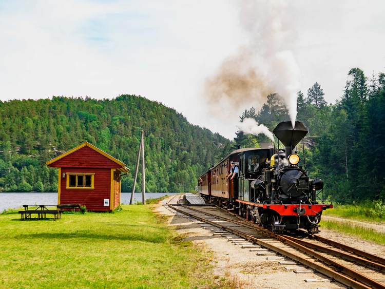 Tren vapor Setesdal (Noruega)_01